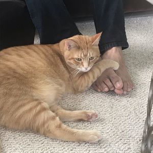 Meet your Posher, Syeda